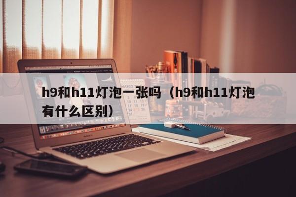 h9和h11灯泡一张吗(h9和h11灯泡有什么区别)