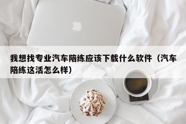 我想找专业汽车陪练应该下载什么软件(汽车陪练这活怎么样)