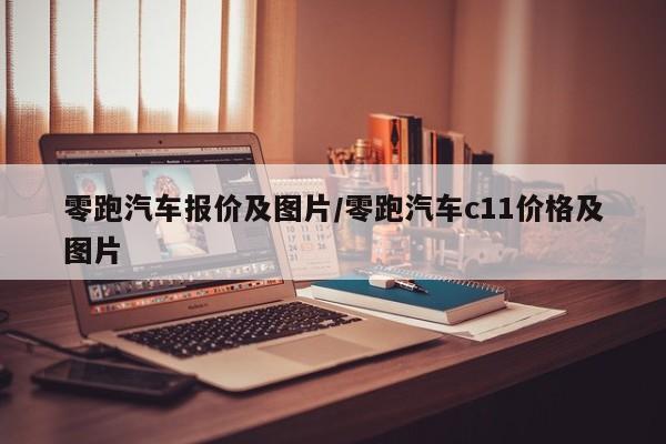 零跑汽车报价及图片/零跑汽车c11价格及图片