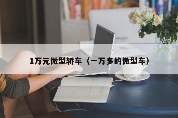 1万元微型轿车(一万多的微型车)
