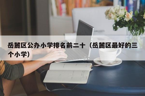 岳麓区公办小学排名前二十(岳麓区最好的三个小学)