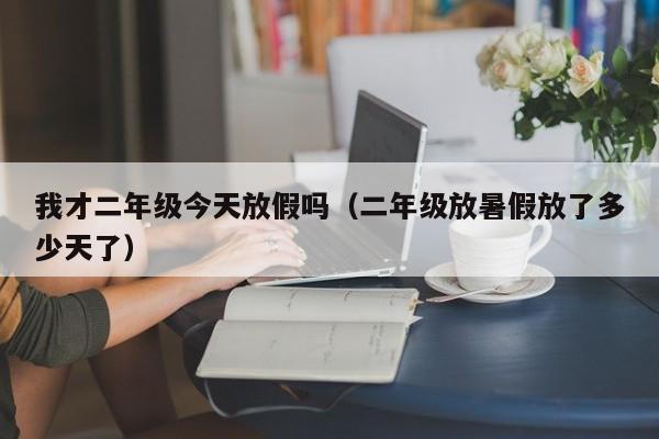 我才二年级今天放假吗(二年级放暑假放了多少天了)