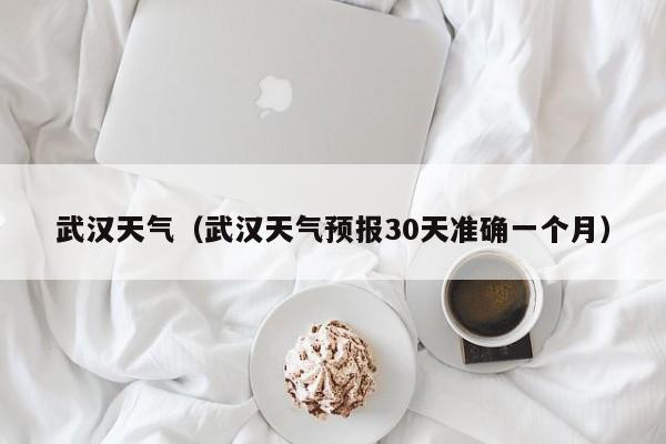 武汉天气(武汉天气预报30天准确一个月)