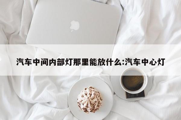 汽车中间内部灯那里能放什么:汽车中心灯
